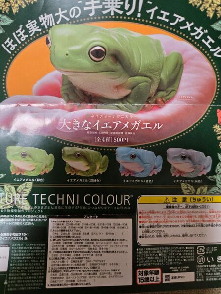 ネイチャーテクニカラー 大きなイエアメガエル フィギュア 2種 青色 深緑色