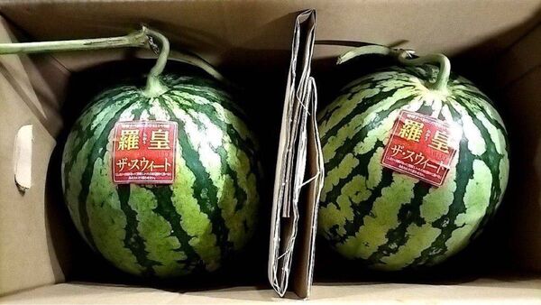 羅皇ザ・スウィート1玉約3.5kg 2玉入