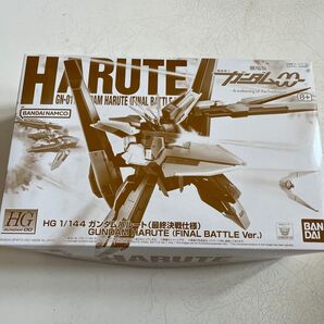 GN-011 ガンダムハルート 最終決戦仕様 プレミアムバンダイ限定 (1/144スケール HG 劇場版 )