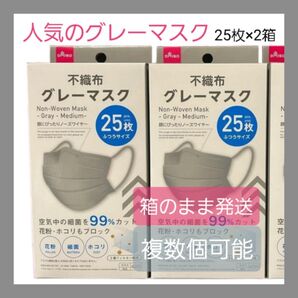 ダイソー★人気グレーマスク★25枚×2箱★ふつうサイズ★即日発送★箱のまま配送★即購入大歓迎