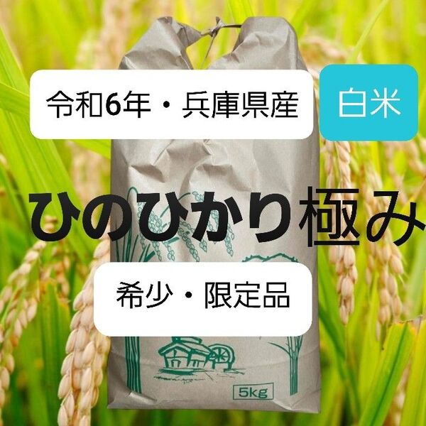 【希少・限定品】☆令和6年兵庫県産・ひのひかり極み・白米5kg ☆安心の無農薬
