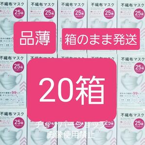 ダイソー不織布マスク 20箱セット まとめ売り