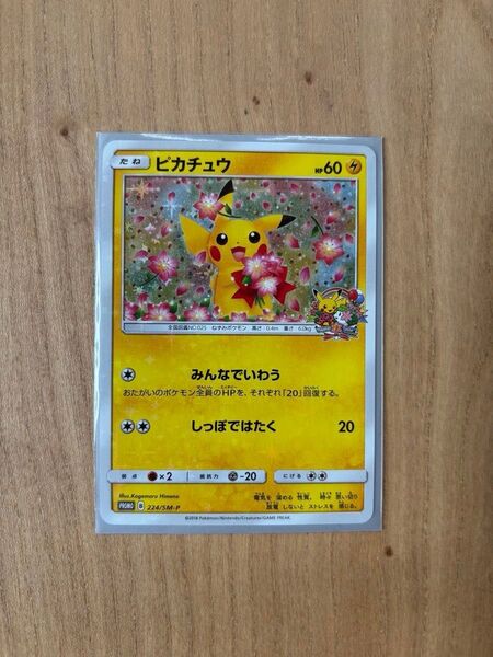 ポケモンカードゲーム みんなでいわうピカチュウ プロモ 224/SM-P