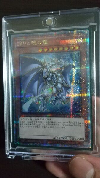 遊戯王 誇りと魂の龍 25th クォーターセンチュリーレア 日版 イラスト違い