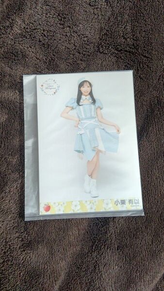 小栗有以 AKB48 春コン 村山彩希卒業コンサート 個別生写真 未開封