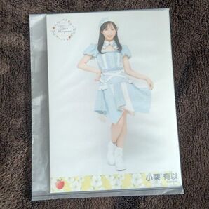 小栗有以 AKB48 春コン 村山彩希卒業コンサート 個別生写真 未開封