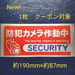 防犯ステッカー 監視カメラ 警備警告屋外24時間 防犯カメラシール ダミー防犯カメラ 防犯グッズ 防犯カメラステッカーセキュリティ
