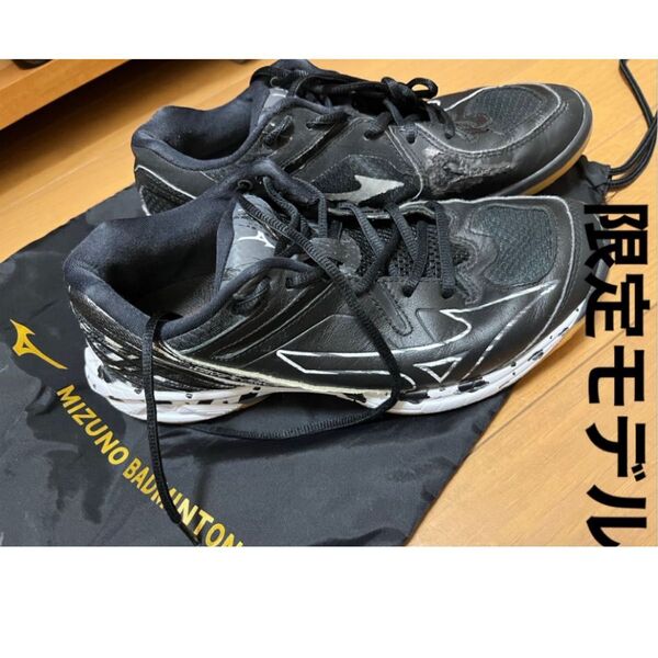 ミズノ BDSS 限定 ブラック MIZUNO バドミントン シューズ ウエーブクロー プロ 2 バドミントンシューズ ミズノ
