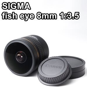 【美品】SIGMA 8mm F3.5 EX DG FISHEYE フィッシュアイ Canon EF