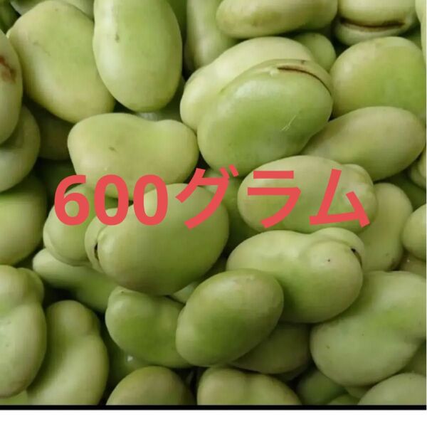 むきそら豆 そら豆