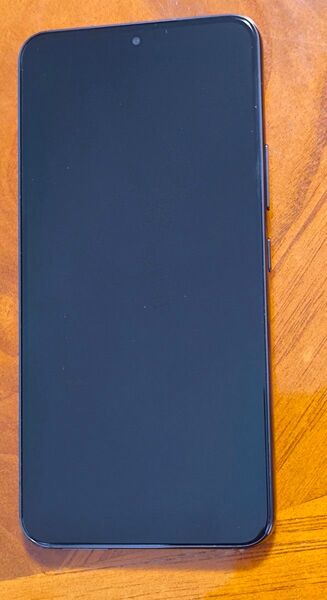 Galaxy S22 ドコモ版 SC51-C