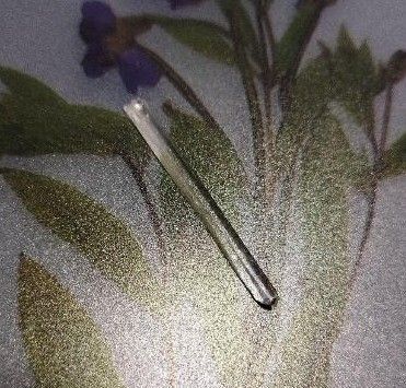 レムリアン水晶☆ミニポイント