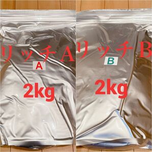 科学飼料研究所 リッチA 2kg リッチB 2kg メダカ エサ