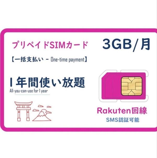 (10枚)楽天プリペイドsimカード 月3GB高速データSMS受信可 データSIM SMS認証