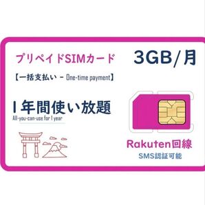 楽天プリペイドsimカード 月3GB高速データSMS受信可 データSIM SMS認証