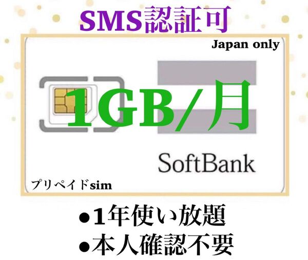 SoftBank プリペイドSIM データ通信 1GB/受信可能 sms認証