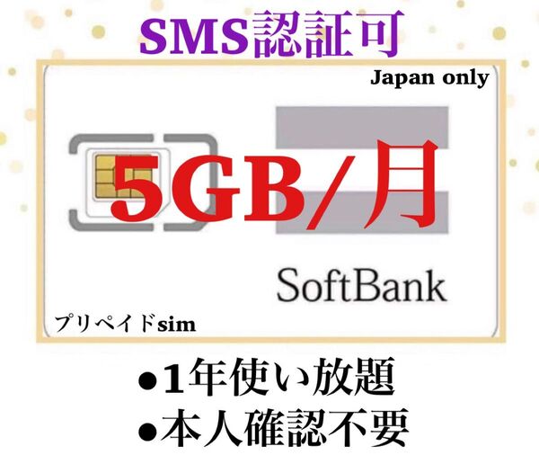 プリペイドSIMカード 毎月5GB SMS受信可 データSIM