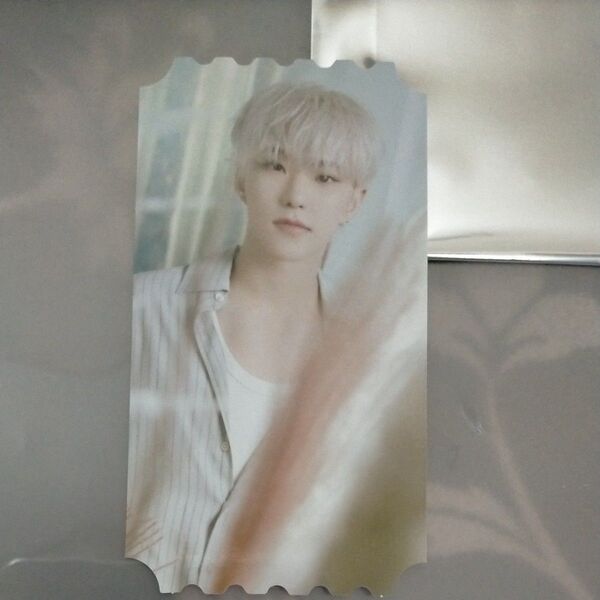 seventeen cafe 2024 セブチ カフェ セブンティーン HOSHI チケット風カード ホシ 入場特典