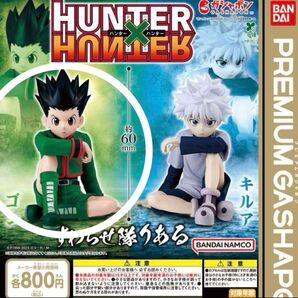 HUNTER×HUNTER すわらせ隊りある ゴン