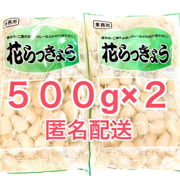 ①花らっきょう 甘酢漬け 500g×2袋