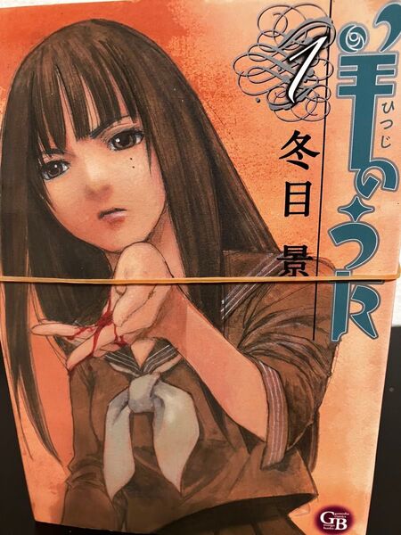 裁断済 羊のうた 全巻セット 文庫版 冬目景