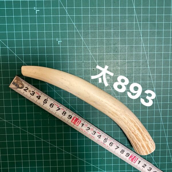 鹿の角 鹿のツノ 鹿角 鹿ツノ シカツノ 蝦夷鹿 おもちゃ 角 犬用品 鹿ノ角・犬・シカ・エゾシカ・シカの角・