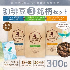 【100g×3セット】珈琲豆3銘柄セット〈自家焙煎コーヒー豆/ブラジルNo.2&ガテマラSHB&キリマンジャロAA〉
