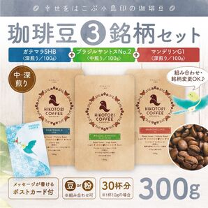 【100g×3セット】珈琲豆3銘柄セット〈自家焙煎コーヒー豆/ブラジルNo.2&ガテマラSHB&マンデリンG1〉