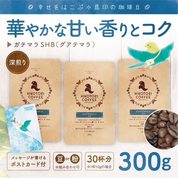 【100g×3】グアテマラ/ガテマラSHB〈深煎り/自家焙煎コーヒー豆300g〉