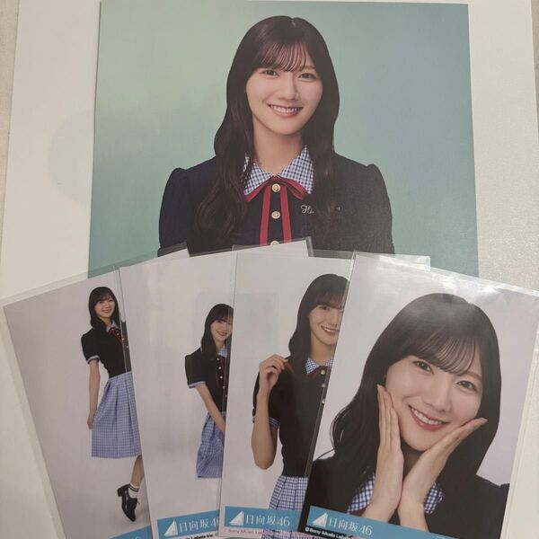 日向坂46 Love yourself! コンプ 河田陽菜 封入 生写真 シブツタ フライヤー ポスター