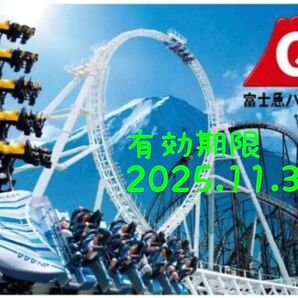 富士急ハイランド ワンデイパス フリーパス 引換券 ペアチケット 期限2025.11.30