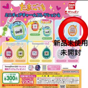 たまごっち ミニチュアチャームコレクション4・やんぐまめっち・ガチャガチャ・新品未使用