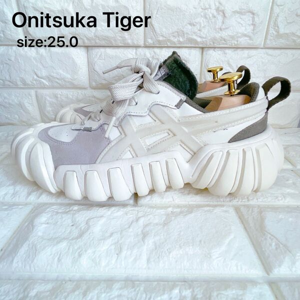 【美品】Onitsuka Tiger DENTIGRE オニツカタイガー デンティグレ LS 25.0