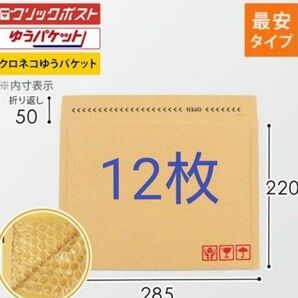 クッション封筒 12枚