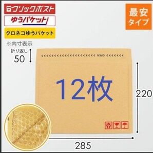 クッション封筒 12枚