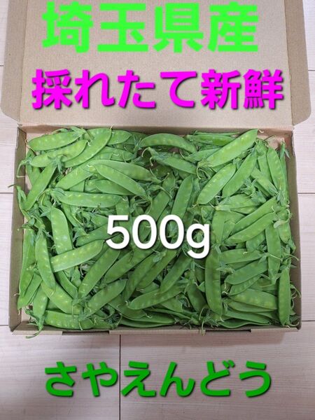 埼玉県産 採れたて新鮮 さやえんどう 500g