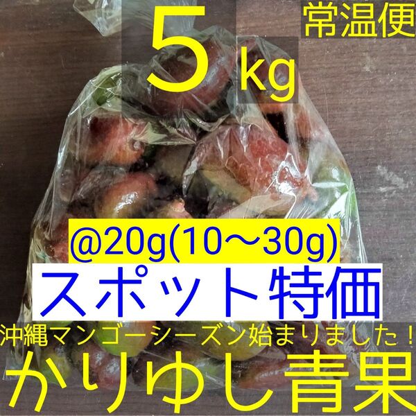 〈スポット特価〉沖縄県産 摘果マンゴー/青マンゴー@20g(10〜30g)約5kg【常温便】②
