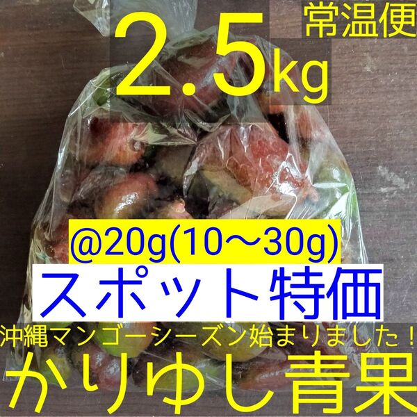 〈スポット特価〉沖縄県産 摘果マンゴー/青マンゴー@20g(10〜30g)約2.5kg【常温便】①