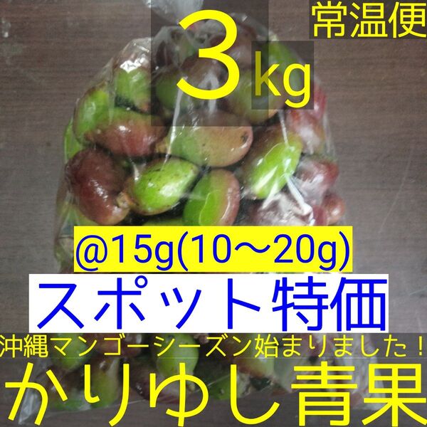 〈スポット特価〉沖縄県産 摘果マンゴー/青マンゴー@15g(10〜20g)約3kg【常温便】③