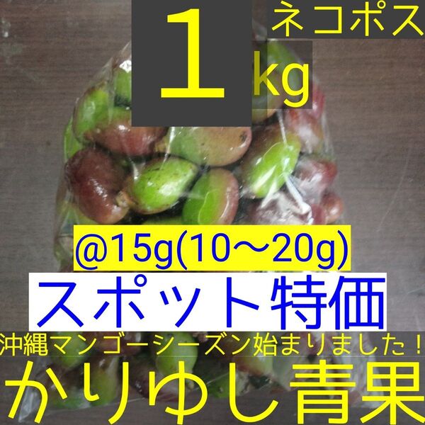 〈スポット特価〉沖縄県産 摘果マンゴー/青マンゴー@15g(10〜20g)約1kg【ネコポス】⑦