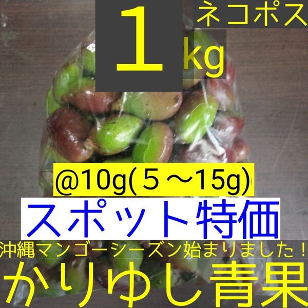 〈スポット特価〉沖縄県産 摘果マンゴー/青マンゴー/グリーンマンゴー@10g(5〜15g)約1kg【ネコポス】⑲