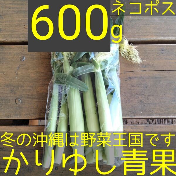 【100円off】沖縄県産 葉つきベビーコーン/ヤングコーンB品約600g【ネコポス】⑥