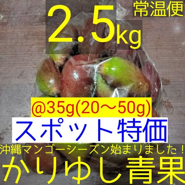 〈スポット特価〉沖縄県産 摘果マンゴー/青マンゴー/グリーンマンゴー@35g(20〜50g)約2.5kg【常温便】⑪