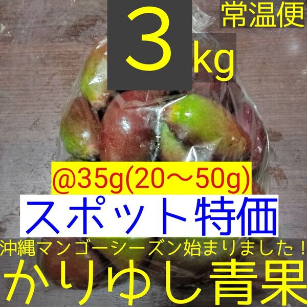 〈スポット特価〉沖縄県産 摘果マンゴー/青マンゴー/グリーンマンゴー@35g(20〜50g)約3kg【常温便】⑫