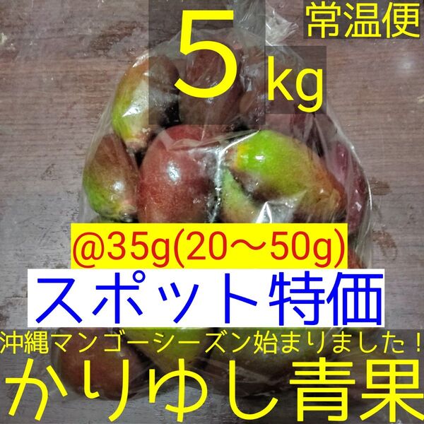 〈スポット特価〉沖縄県産 摘果マンゴー/青マンゴー/グリーンマンゴー@35g(20〜50g)約5kg【常温便】⑤