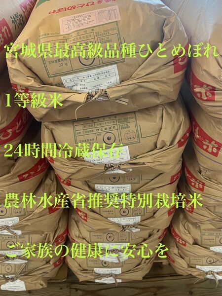 『数量限定』令和6年新米特Aランク米最高級品種宮城県産ひとめぼれ30kg農林水産省推奨特別栽培米