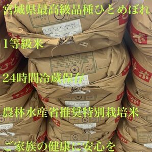 『数量限定』令和6年新米特Aランク米最高級品種宮城県産ひとめぼれ30kg農林水産省推奨特別栽培米