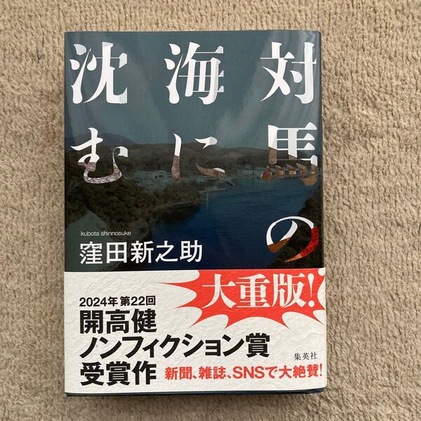 対馬の海に沈む 窪田新之助/著
