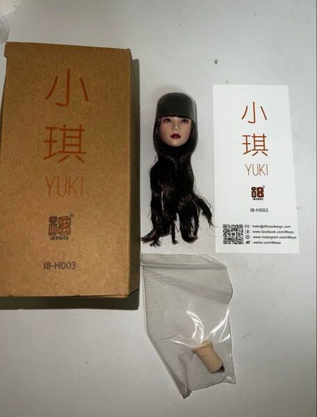 1/6 スケール 女性 ヘッド C 可動目 新品