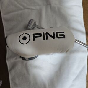 PING パター